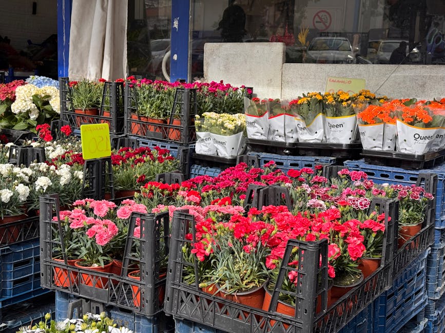 An outdoor display of vibrant potted flowers arranged in black plastic crates on a sidewalk. The collection features pink, red, white, yellow, and orange blossoms, including carnations and marigolds,